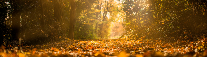/uploads/files/aut_2_banner_image_342.png